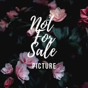 Meet your Posher, Nina